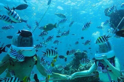 Bali Private Seawalker watersport