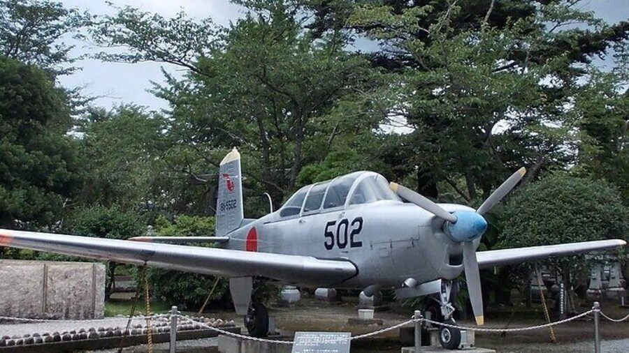 Private Day Tour in Kagoshima