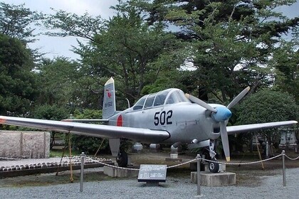 Private Day Tour in Kagoshima