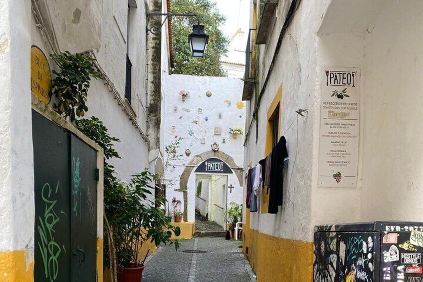 Évora Uncovered Private Tour of Cork Culture and Alentejo Wines