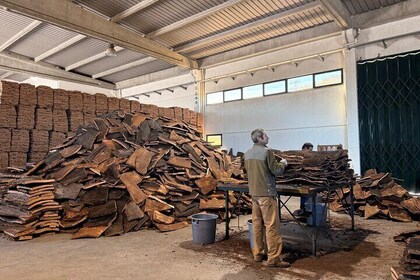 Évora Uncovered Private Tour of Cork Culture and Alentejo Wines