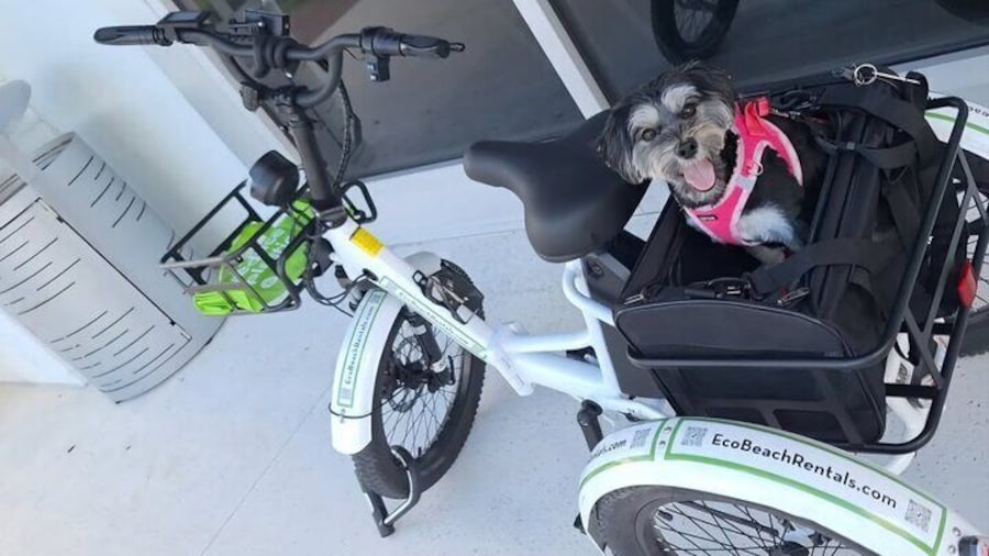 Bike Ride Through Ponte Vedra Beach Private Tour Florida