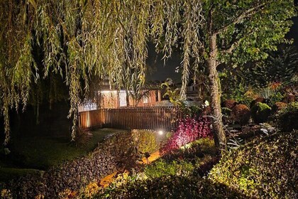 Nigth experience in mystic Furnas and spa