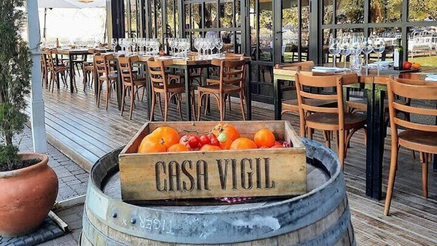 Tour of Olive Wineries and Steps Lunch in Maipu
