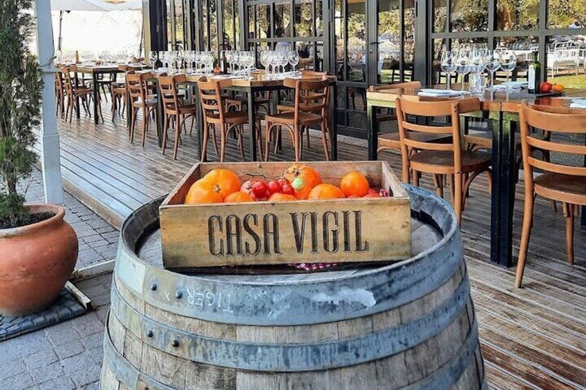 Tour of Olive Wineries and Steps Lunch in Maipu
