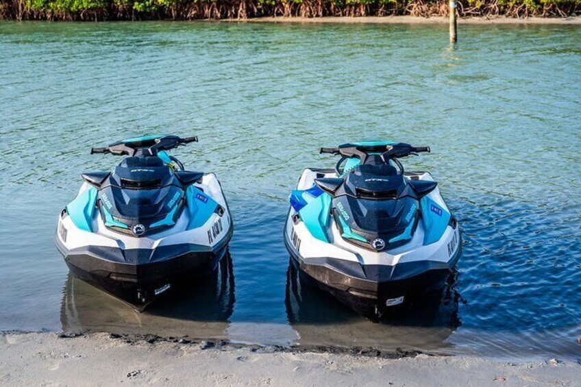 Dolphin Watching Jet Ski Tour