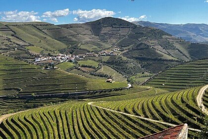 Douro Valley Half Day Wine and Food Tour From Porto