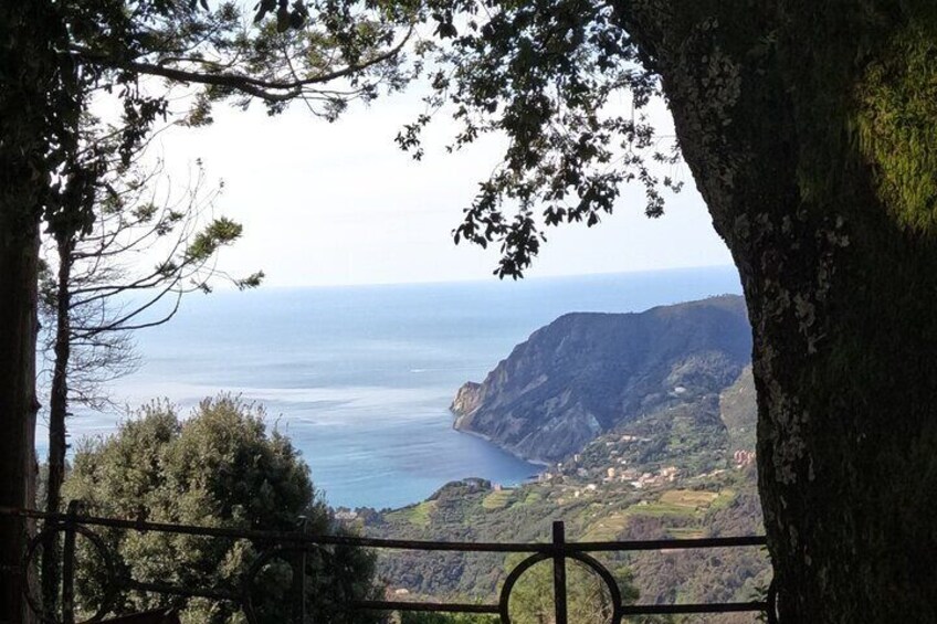 E-Bike Tour in Cinque Terre with Aperitif in Farmhouse
