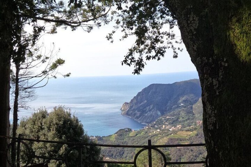 E-Bike Tour in Cinque Terre with Aperitif in Farmhouse