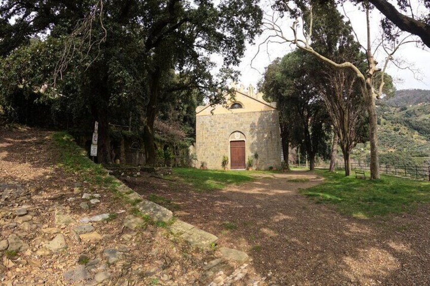 E-Bike Tour in Cinque Terre with Aperitif in Farmhouse
