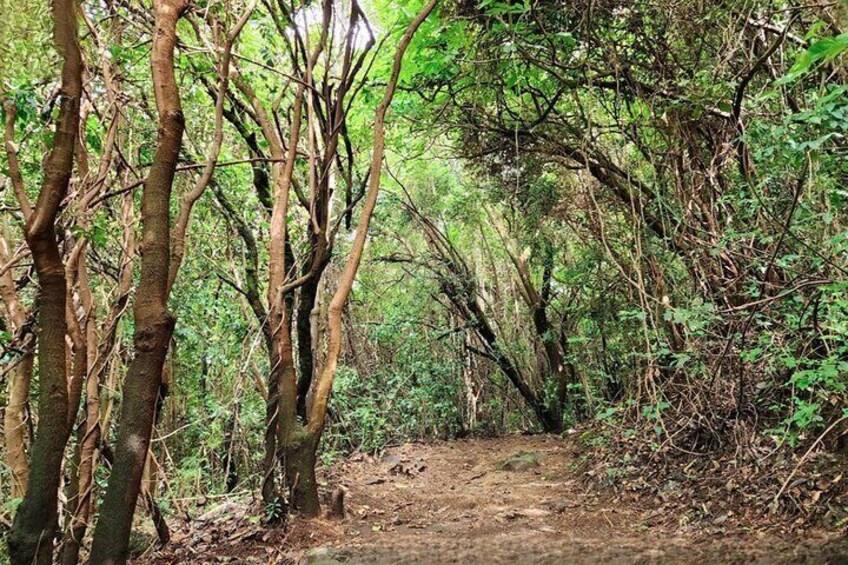 Start of the Hiking