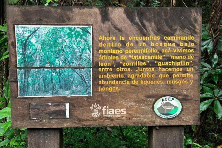 National park sings