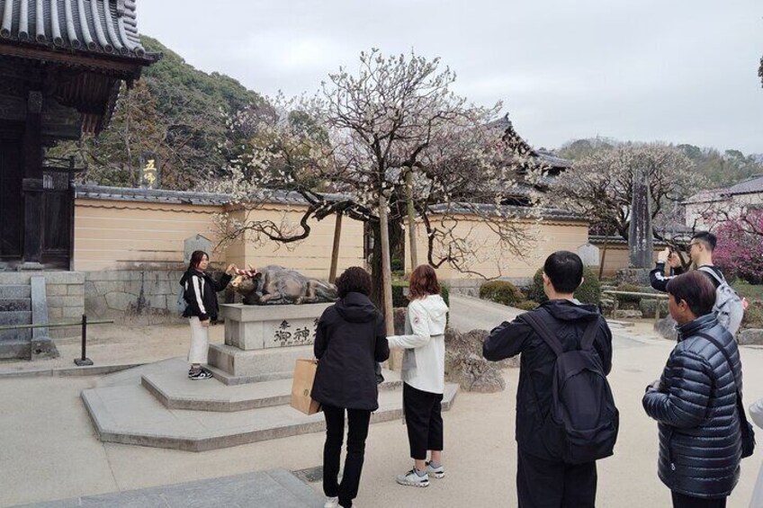 Discover the Spirit of Dazaifu Tenmangu Cultural Journey
