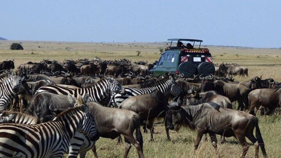 12 Days Tour of Kenya Big Five Wildlife Private Safari