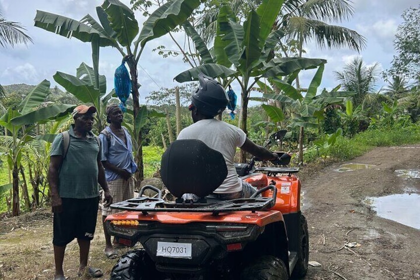 ATV Waterfall Plantation Beach and Rum Distillery Adventure