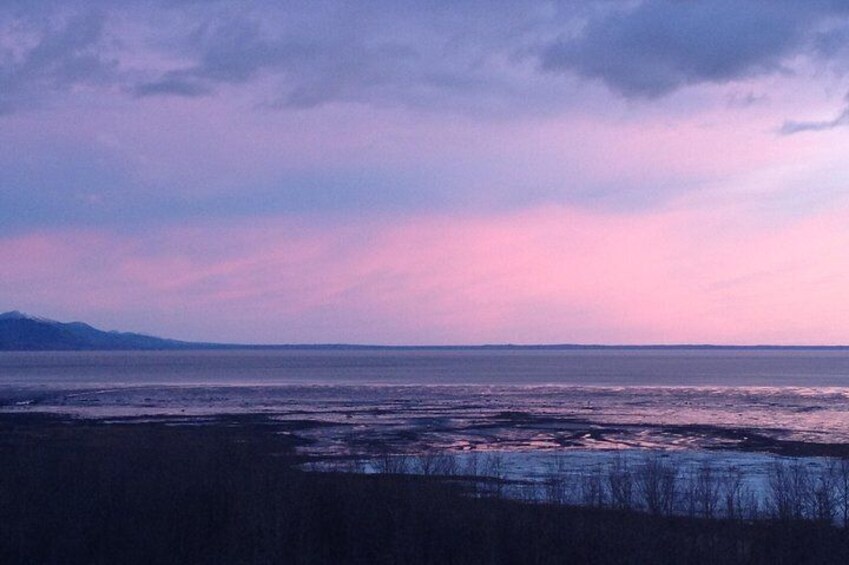 Beluga Point Adventure with Wildlife Refuge Walk