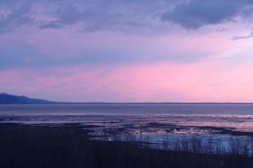 Beluga Point Adventure with Wildlife Refuge Walk