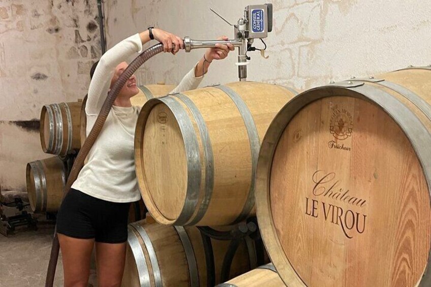 Cellars and wine making process