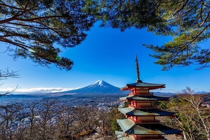 Mount Fuji Arakurayama Park and Instagram Hotspots
