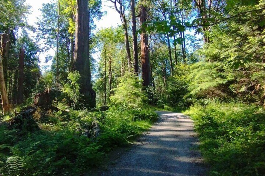 Stanley Park Bike Adventure with Lux Car Pick Up Affordable Easy