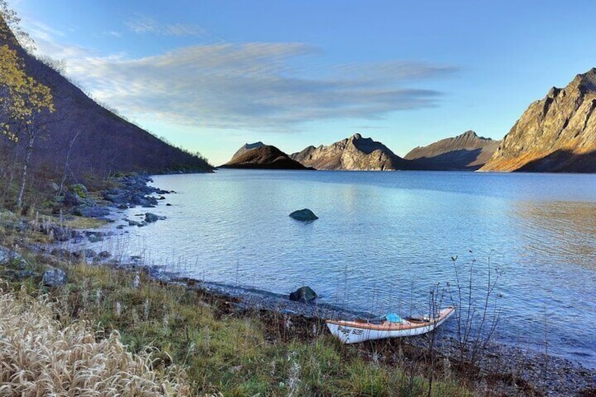 Fjord landscape