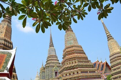 Leam Chabang Bangkok Temples Tours with Guide