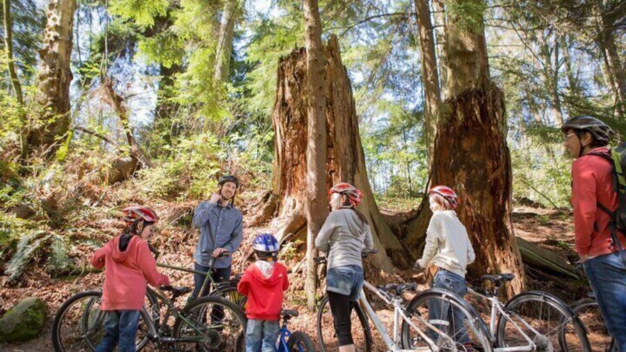 Stanley Park Vancouver Highlights Family Cycling Tour