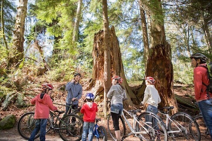 The Stanley Park Family Tour by Cycle City Tours