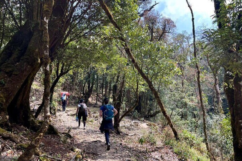 2-Day Fansipan Trekking of Sapa Tour
