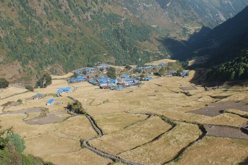 Local village