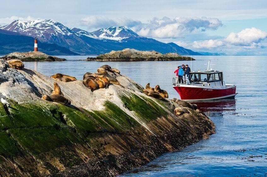 Beagle Canal Tour with Small Group Hiking