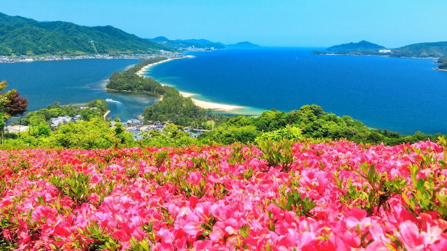 Kyoto: One Day Seaside Trip to Amanohashidate and Ine Bay