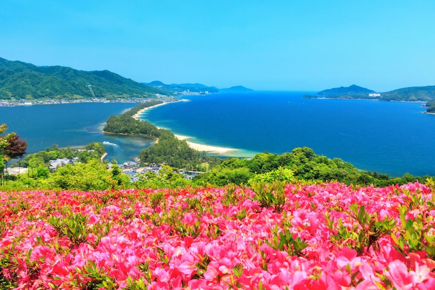 Kyoto: One Day Seaside Trip to Amanohashidate and Ine Bay