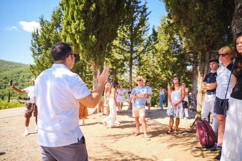 Chianti Vineyards Escape From Florence With Two Wine Tastings