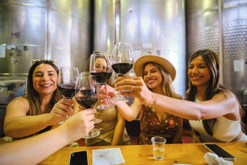 Chianti Vineyards Escape From Florence With Two Wine Tastings