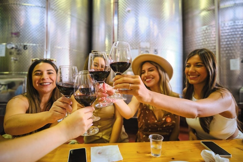 Chianti Vineyards Escape From Florence With Two Wine Tastings