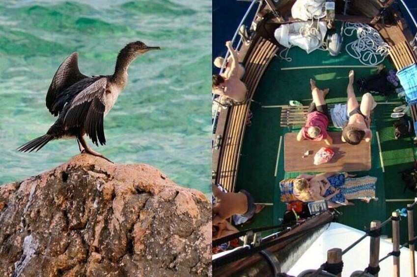 Krk: Hidden Beaches & Local Flavors (Bruschetta Optional)