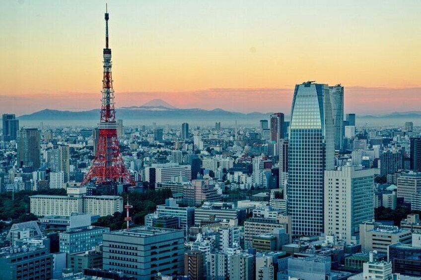 Tokyo 5-Hour Private City Tour with NRT/HND Airport Transfer