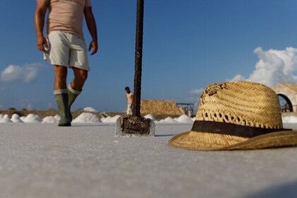 Experience of the saltworker at Trapani salt pans