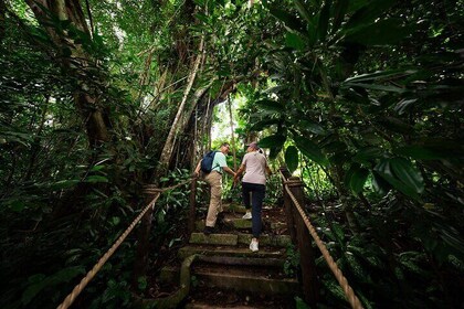 Singapore Mandai Zoo-Rainforest Wild Asia Ticket
