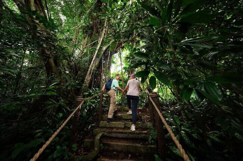 Singapore Rainforest Wild Asia Ticket