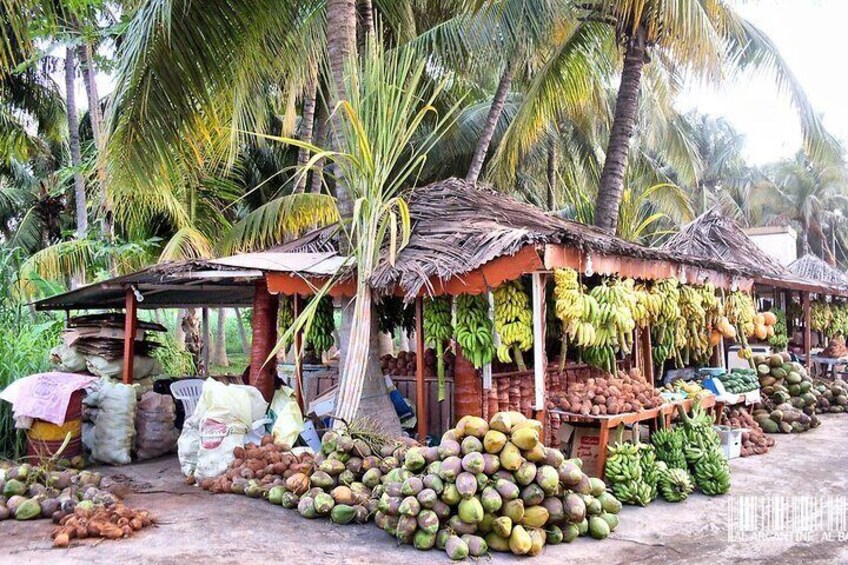 tropical farm 