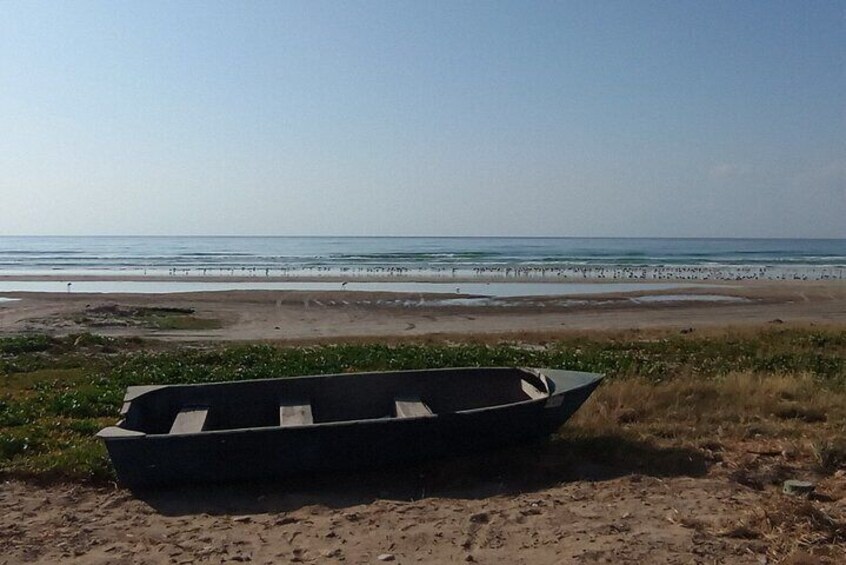 Taqah Beach