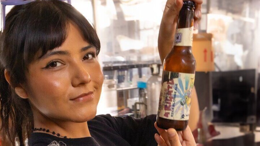 Best way to experience Mexico City? With a cold craft beer in hand!