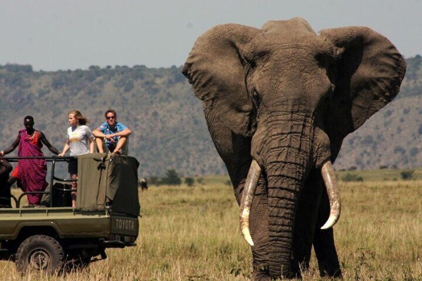 10 Day Durban to Johannesburg Tour