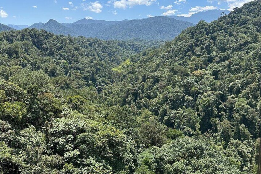 Mindo Cloudforest Small Groups Hummingbird Fee Included
