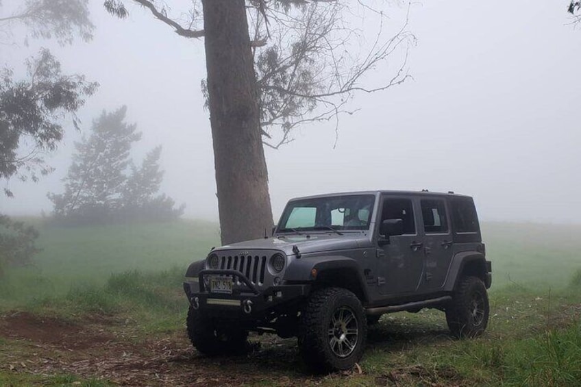 Private Jeep Tour in Maui Island