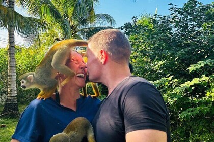 Bavarian VIP Monkey House