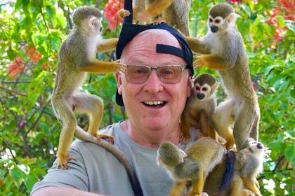 Bavarian VIP Monkey House