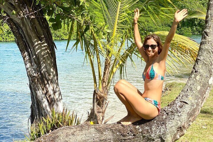 Day Tour Sailing to Caribbean Beaches on Catamaran with Lunch